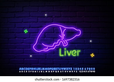 Icon neon lights of the liver. The digestive gland. Liver disease. A glowing sign with the alphabet, numbers, and symbols. Vector isolated illustration