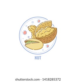 Icon of nuts mix group in circle flat linear style, vector illustration isolated on white background. Symbol of food allergen ingredient, pistachio and walnut and cashew and almond color line icon