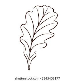 Icon oak leaf in line art style. Vector illustration isolated on a white background. Vintage retro fall seasonal decor.