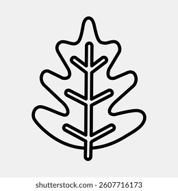 Icon oak. Plant leaves elements. Icon in line style.