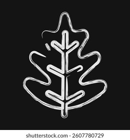 Icon oak. Plant leaves elements. Icon in chalk style.