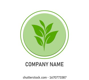  Icon on a white background. Green leaves of a tree.