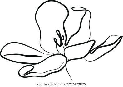 icon of an open tulip bud in monoline style in black color, for logos and brand elements