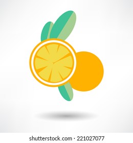 icon orange fruit isolated on White background. Vector illustration