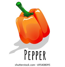 Icon Orange Pepper, food vegetable  for the game or web app. Isolated icon on white background.