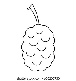 icon. Outline illustration of blackberry vector icon for web