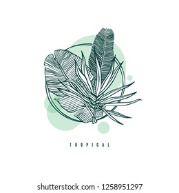 Icon with palm and banana leaf. Outline drawing of tropical leaves. Nature label with exotic foliage. Vector illustration.