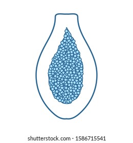 Icon Of Papaya In Ui Colors. Thin Line With Blue Fill Design. Vector Illustration.
