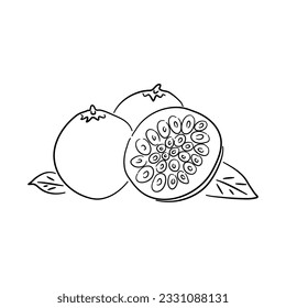 Icon of Passion fruit. Hand drawn sketch. Retro vintage design. Vector illustration.