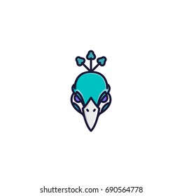 Icon Peacock Color
