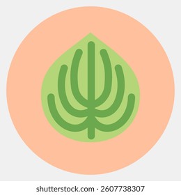 Icon peperomia. Plant leaves elements. Icon in color mate style.