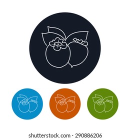Icon Persimmon ,Four Types of Colorful Round Icons  Persimmon , Line Style, Vector Illustration