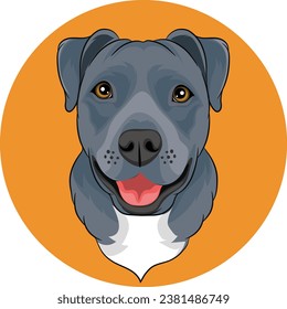 icon pets with cute style