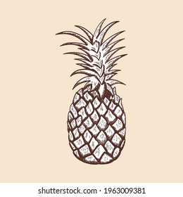 Icon Of Pineapple. Hand Drawn Sketch. Retro Vintage Design. Vector Illustration.