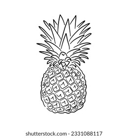 Icon of Pineapple. Hand drawn sketch. Retro vintage design. Vector illustration.
