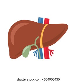Plano de icono al estilo del hígado humano. fácil de usar. ilustración vectorial
