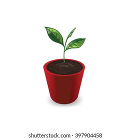 Icon plants in the pot isolated on white background. Young sprout with leaves in a red pot. Vector illustration.