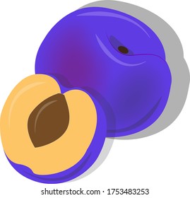 Icon with plum and half plums isolated on a white background.