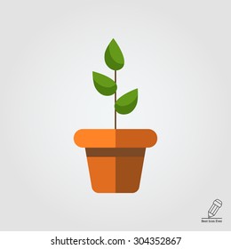Icon of potted plant