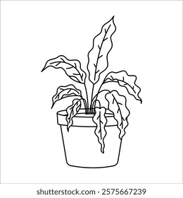 Icon of a potted plant. Outline black and white illustration of a houseplant.