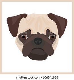 Icon with pug dog. Vector illustration in flat style.