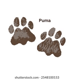 Ícone de traços de puma com inscrição. Impressão de silhuetas de garras de pumas no chão. Trilhas de pantera, patas de leão de montanha. Rastros de animais selvagens. Ilustração de vetor isolado plano sobre fundo branco.