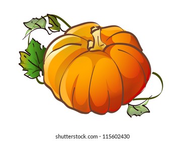 52 Creeper plant pumpkin Stock Illustrations, Images & Vectors ...