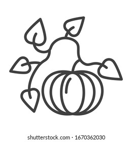 Icon of pumpkin on the vine with leaves. Minimalistic linear image. Isolated vector on a white background.