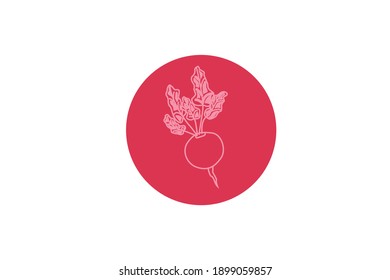 Diseño de iconos de sólidos vegetales radicales