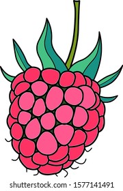 Icon. Raspberry berry. Berries. Color vector graphics.