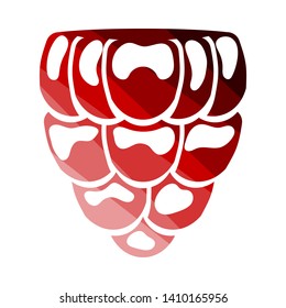 Icon Of Raspberry. Flat Color Ladder Design. Vector Illustration.