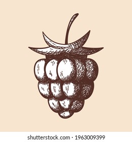 Symbol von Himbeere. Handgezeichnete Skizze. Retro Vintage Design. Vektorgrafik.