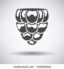 Icon of Raspberry on gray background, round shadow. Vector illustration.