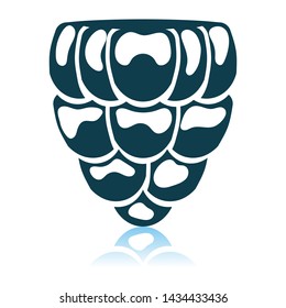 Icon Of Raspberry. Shadow Reflection Design. Vector Illustration.