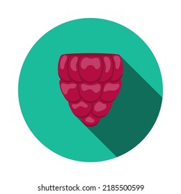 Icon Of Raspberry In Ui Colors. Flat Circle Stencil Design With Long Shadow. Vector Illustration.