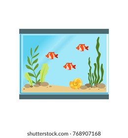 Icon of rectangular glass aquarium with orange fishes, sand, stones, shell and different algae. Marine organisms. Isolate flat vector design