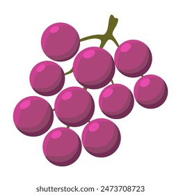 The icon of red grape isolated on white background.