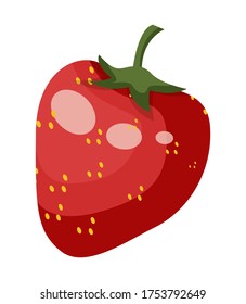 Icon of red juicy strawberry isolated at white. Sweet summer berry, fresh ripe vitamin fruit, cartoon vector illustration. Red berry with small seeds, green leaves and tail. Organic natural strawberry
