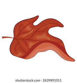 icon of a red leaf from a deciduous tree, namely a maple, for Canada Day or autumn designs