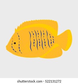 Icon reef fish isolated on white background.