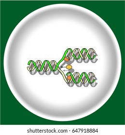 Icon replication DNA on white plate