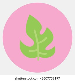 Icon rhaphidophora. Plant leaves elements. Icon in color mate style.