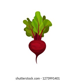 Icon of ripe beetroot with big green leaves. Organic and healthy vegetable. Natural farm food. Fresh ingredient for vegetarian dish.