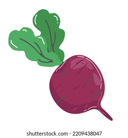 Icon of ripe beetroot with big green leaves. Organic and healthy vegetable. Natural farm food. Fresh ingredient for vegetarian dish..