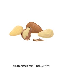 Icon of ripe Brazil nuts. Organic and healthy food. Delicious snack. Vegetarian product. Cooking ingredient. Cartoon hand drawn design. Detailed vector illustration