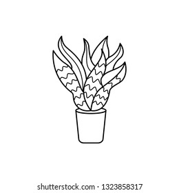 Icon Sansevieria in a pot. Vector illustration.