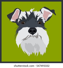 Icon with schnauzer dog. Vector illustration in flat style.