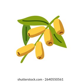 Icon of sea buckthorn. Branch with green leaves and orange berries of olive or seabuckthorn. Tree twig with fruit. Healthy eating, organic food. Flat isolated vector illustration on white background