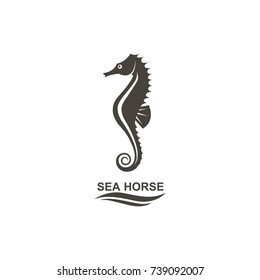 icon of seahorse on isolated white background