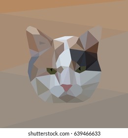 Icon serious cat style triangulation.